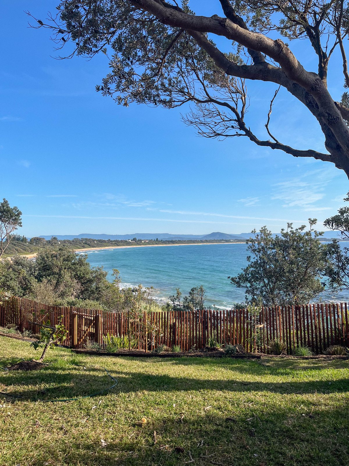 Lawn, a timber fence and trees overlooking a curved coastline and blue water.